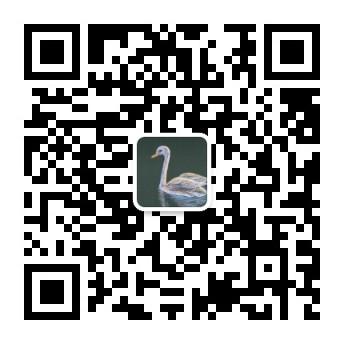 qrcode_for_gh_dcaf3e3fe209_344.jpg